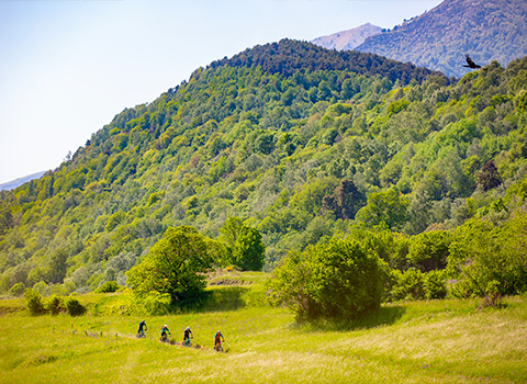 Gruppo di Ciclisti in Tour sulla Costiera dei Cech