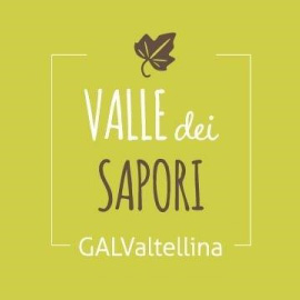 Logo GAL Valtellina