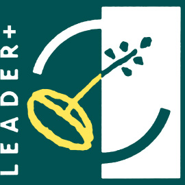 Logo Leader PSR