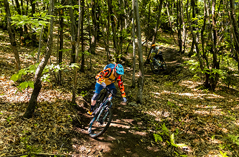 Tour e-MTB Enduro nelle Orobie Valtellinesi