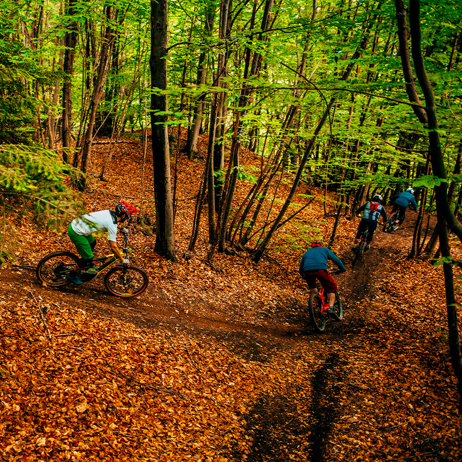 Tour e-MTB Enduro nelle Orobie Valtellinesi