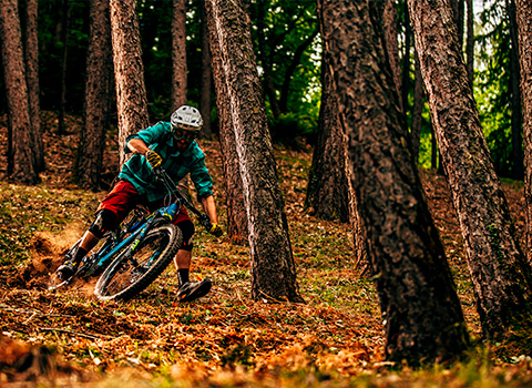 Ciclista che pratica e-MTB Enduro nei sentieri dei boschi delle Orobie