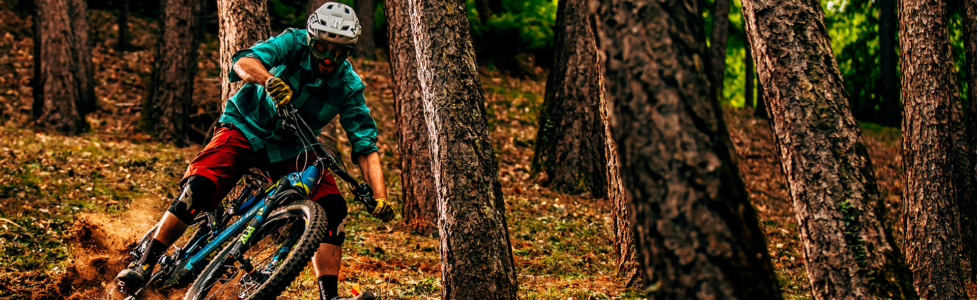 Ciclista che pratica e-MTB Enduro nei sentieri dei boschi delle Orobie