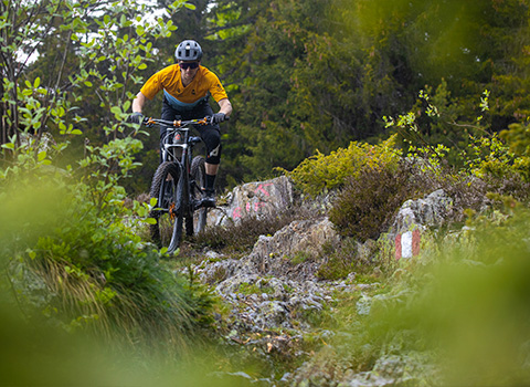 Ciclista pedala fra i boschi della Valtellina con la sua E-Mtb