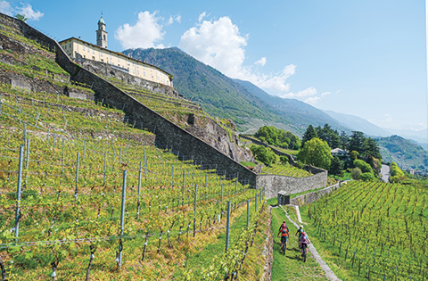 Tour in e-MTB Sentiero Rusca e Sassella