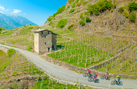 Tour in e-MTB Sentiero Rusca e Sassella