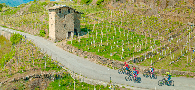 Tour in e-MTB Sentiero Rusca e Sassella