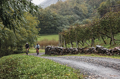 Tour in Gravel da Sondrio a Ardenno