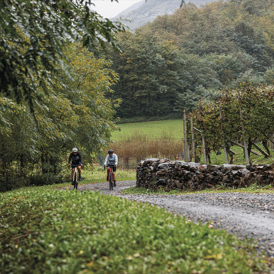 Tour in Gravel da Sondrio a Ardenno