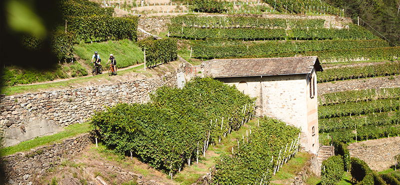 Tour in Gravel da Sondrio a Bianzone