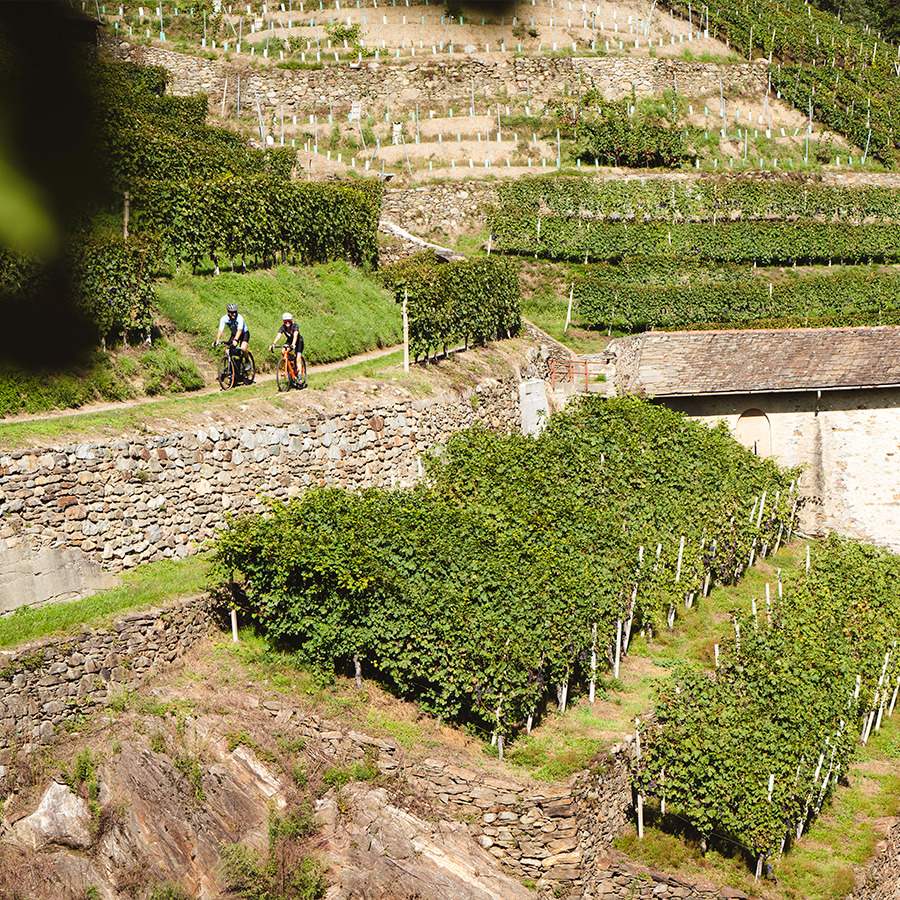 Tour in Gravel da Sondrio a Bianzone