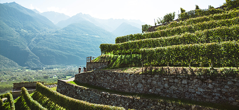 Gravel Tour in Valtellina a Tirano e Dintorni