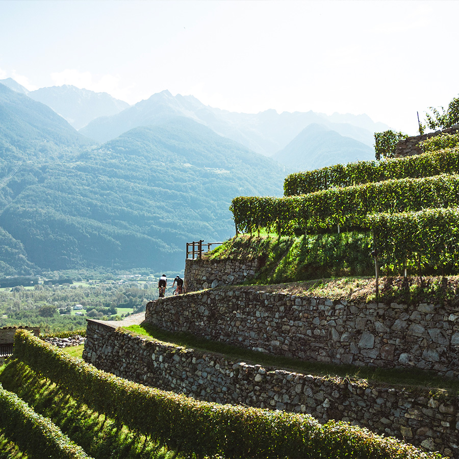 Gravel Tour in Valtellina a Tirano e Dintorni