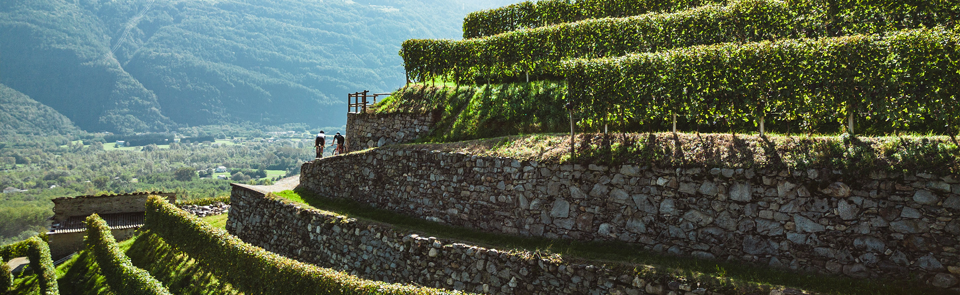 Tour Gravel nei Vigneti di Tirano