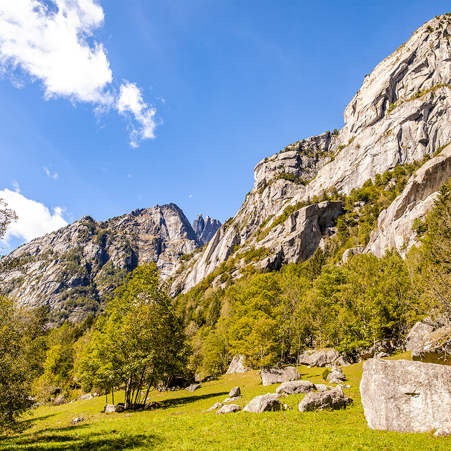 Tour e-MTB in Val Masino